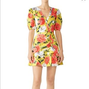 ISO Parker Minna Dress size 4